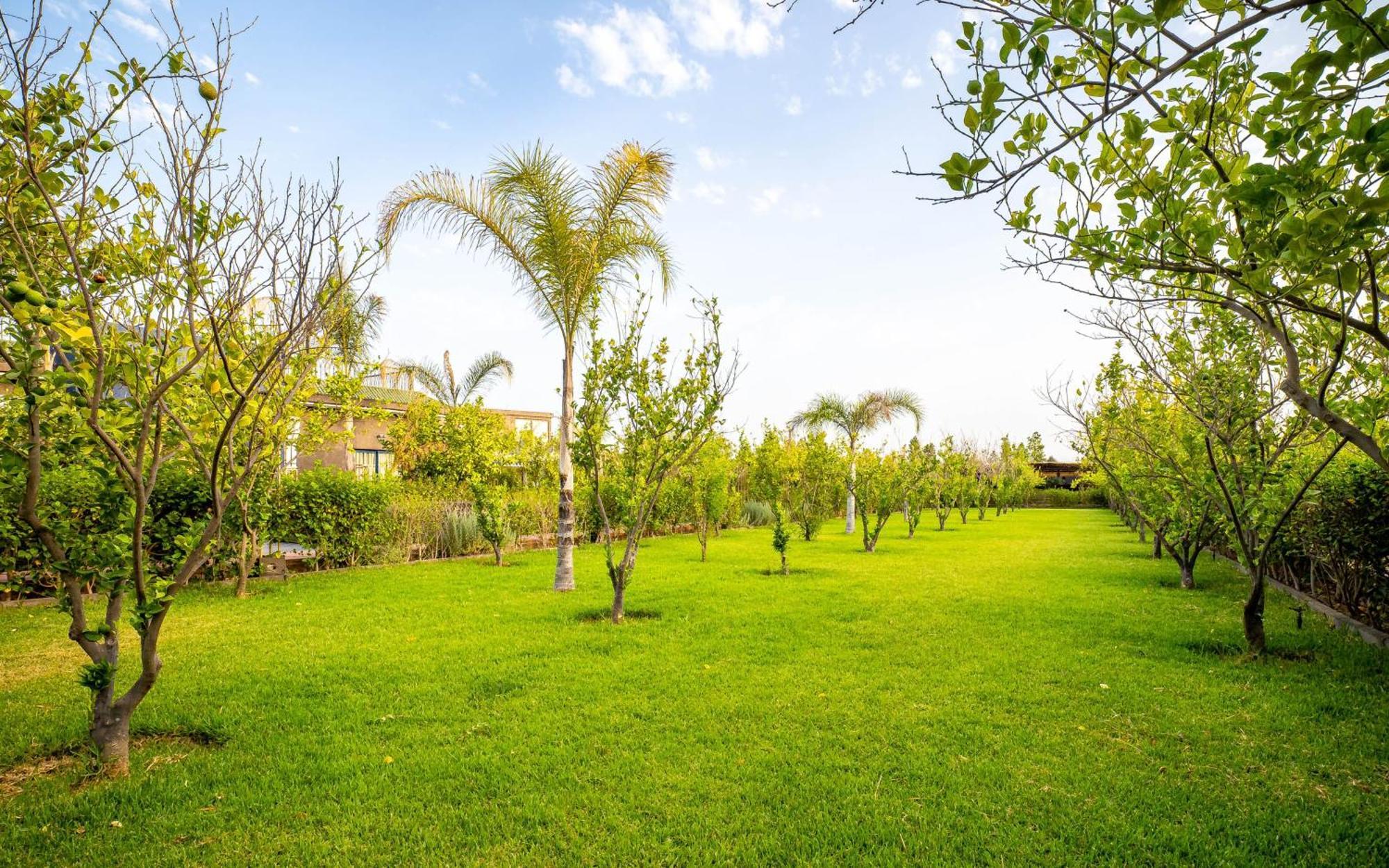 Hotel The Lemonary Marrakech Ouled Moumen Zewnętrze zdjęcie