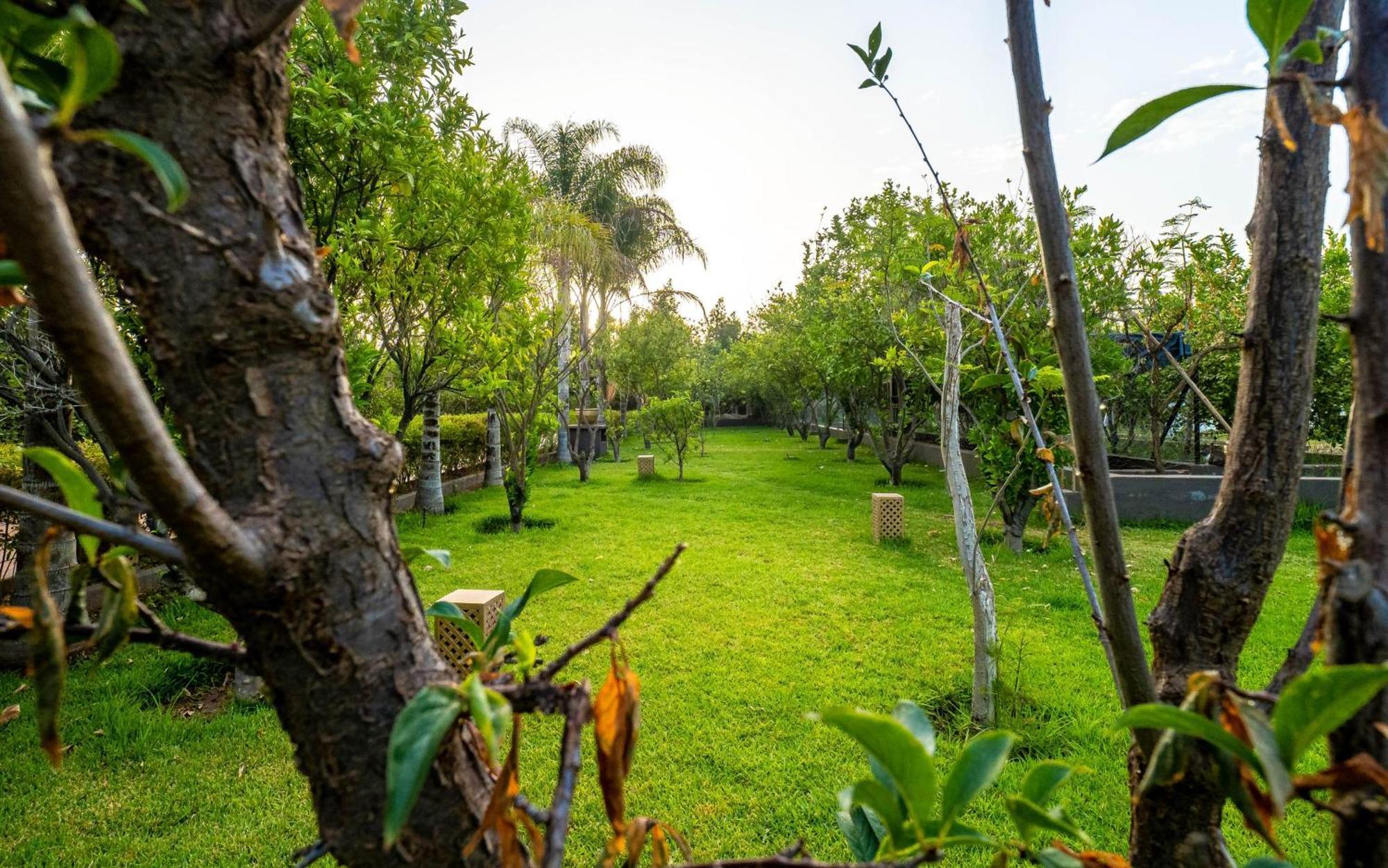 Hotel The Lemonary Marrakech Ouled Moumen Zewnętrze zdjęcie
