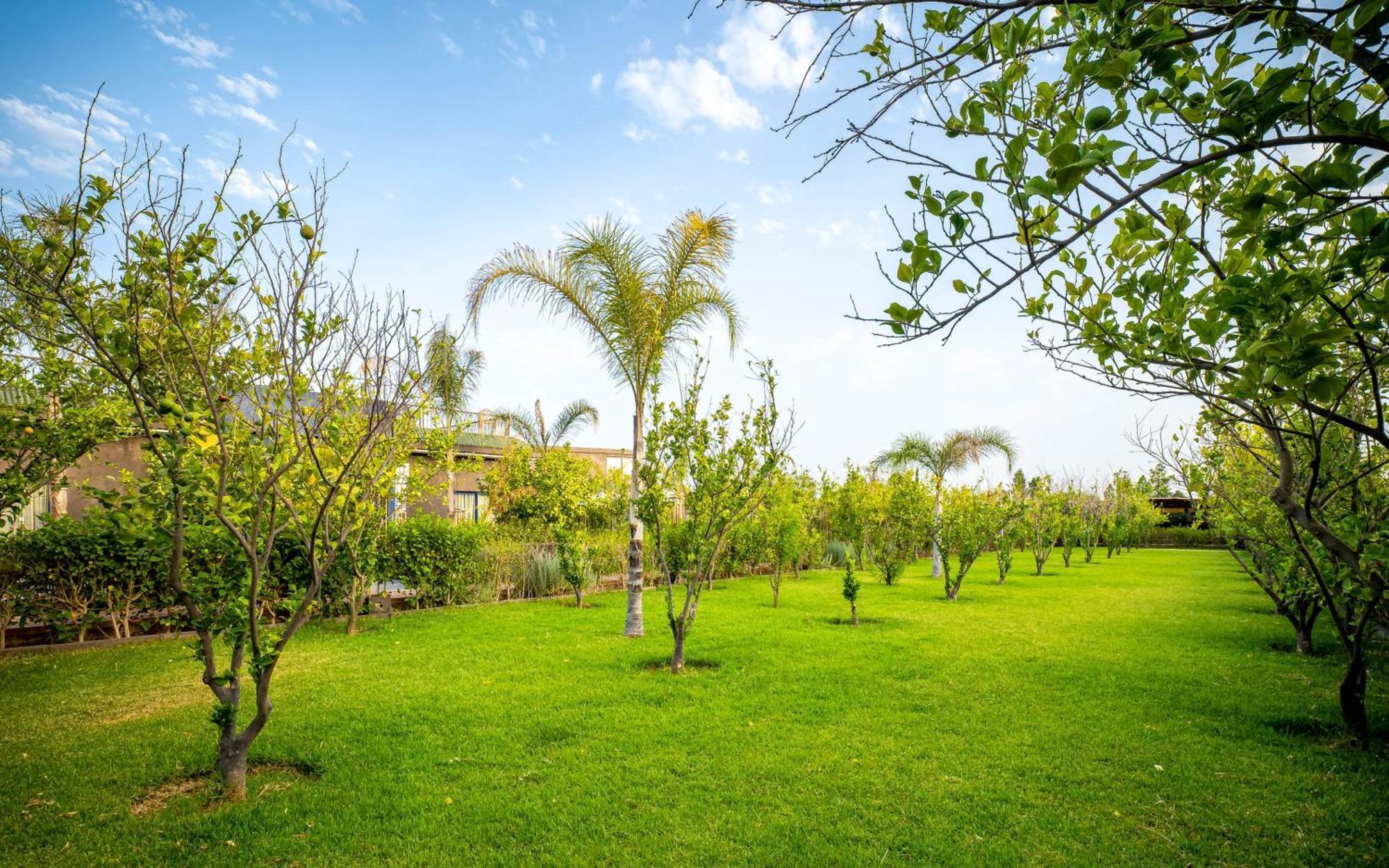 Hotel The Lemonary Marrakech Ouled Moumen Zewnętrze zdjęcie