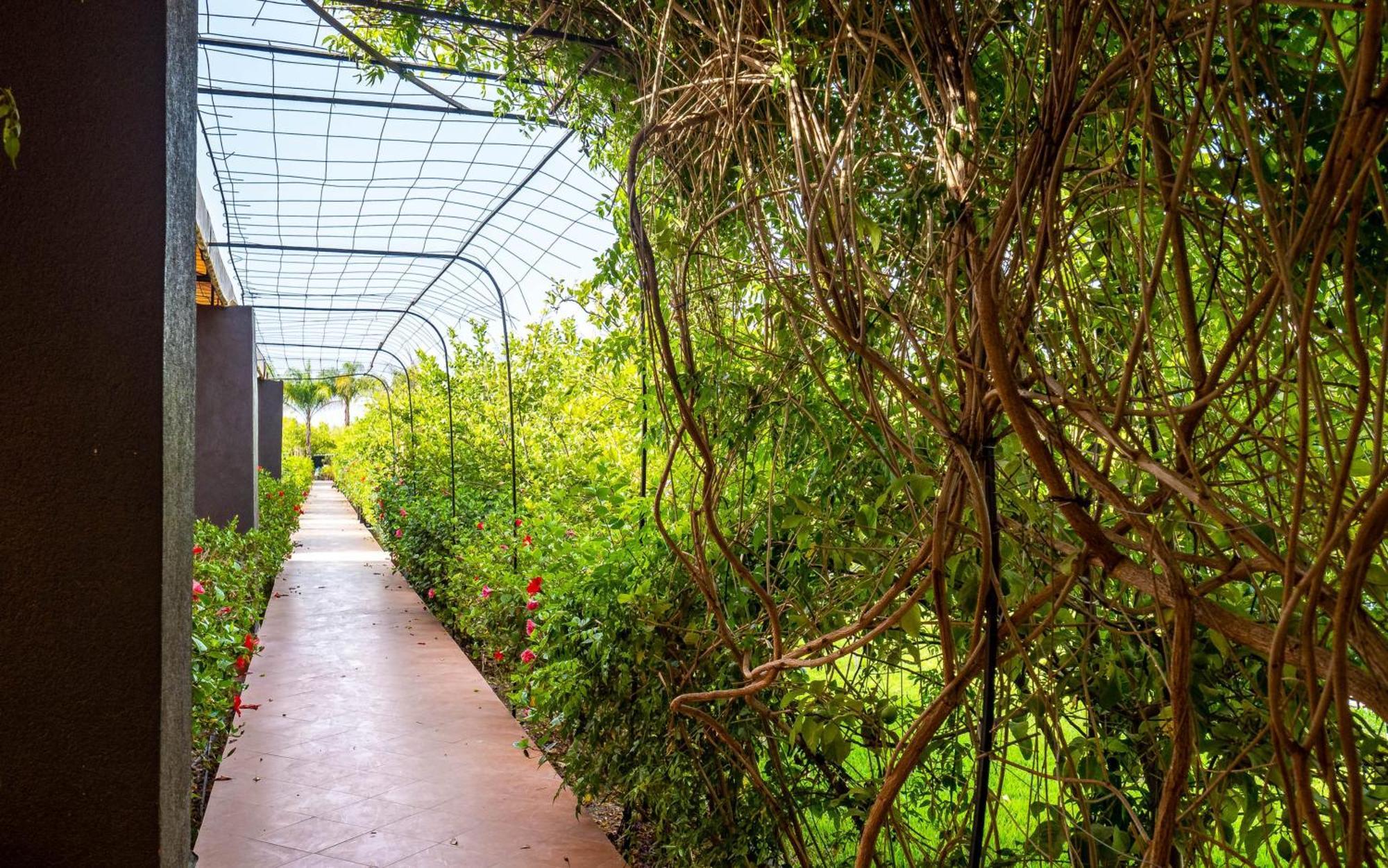 Hotel The Lemonary Marrakech Ouled Moumen Zewnętrze zdjęcie