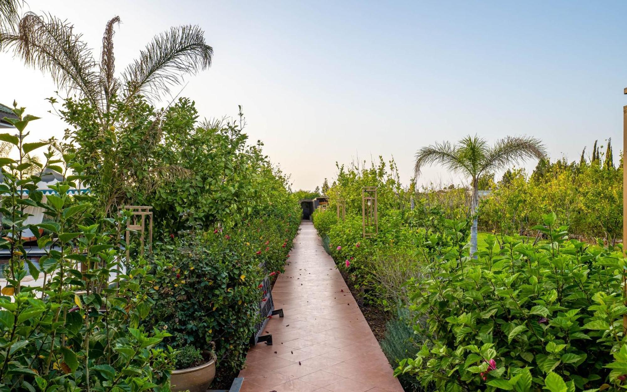 Hotel The Lemonary Marrakech Ouled Moumen Zewnętrze zdjęcie